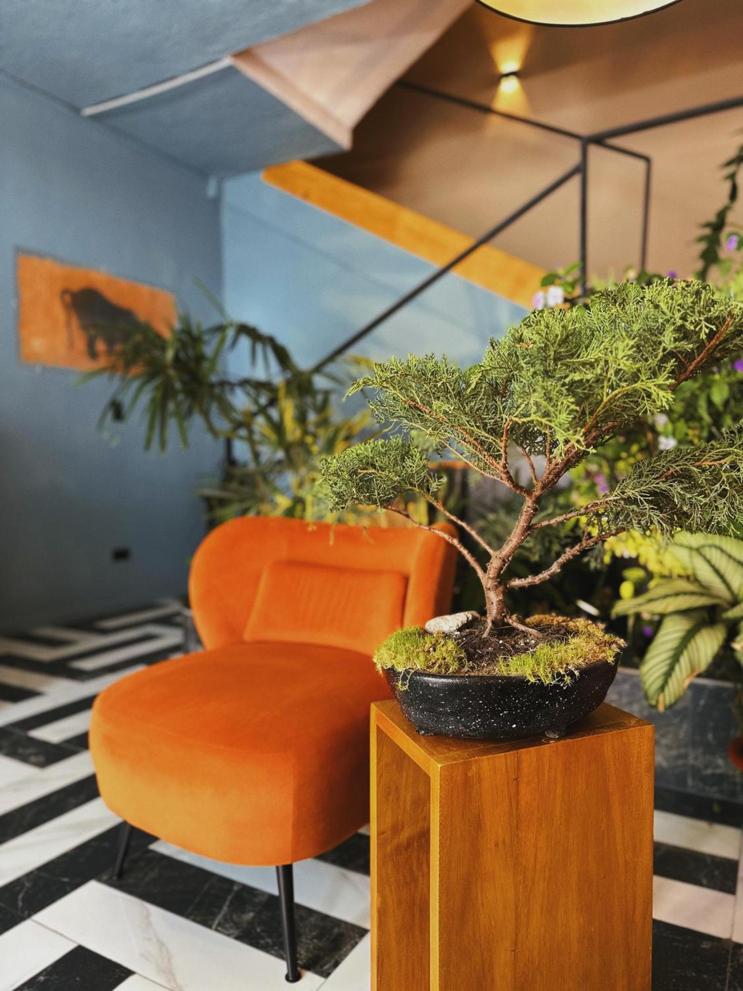 Hotel Agave Banos Екстериор снимка